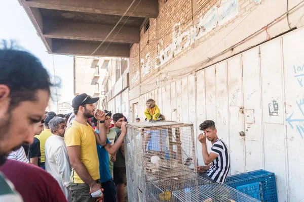 Irak Bagdad Iulie 2019 Adolescent Vinde Animale Strada Bagdad — Fotografie, imagine de stoc