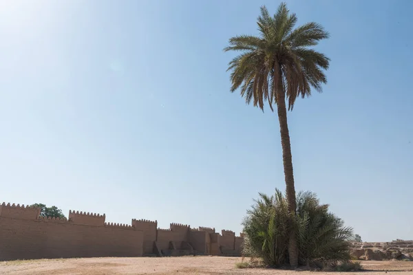 Trädgård Babylon Stad Dagtid — Stockfoto