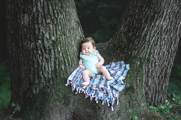 Baby Dívka Piknik Deka Přes Strom Parku — Stock fotografie