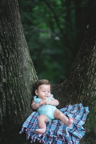 Baby Dívka Piknik Deka Přes Strom Parku — Stock fotografie