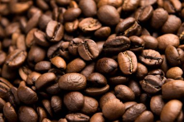 Güzel arabica kahve çekirdekleri var çok güçlü koku ve mükemmel tat! Her kahve çekirdeği benzersizdir. Yakın çekim görünümü. Güzel arka plan.