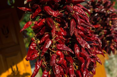 Bir sürü kırmızı biber birbirine bağlı ip asılı. Güneşli bir gün. Görünümü kapatın.