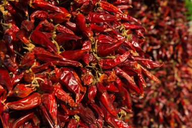 Bir sürü kırmızı biber birbirine bağlı ip asılı. Güneşli bir gün. Görünümü kapatın.