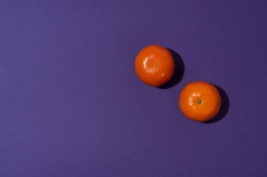 İki mandalina ile sert ışık yakalanan mor arka plan üzerinde. Yukarıdan görünüm ve kopya alanı için yer. 