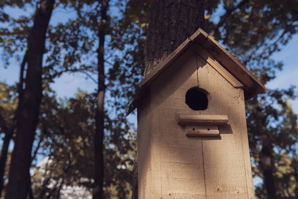 Parkta Sevimli Boş Ahşap Kuş Evi Ağaçların Arasında Kuşlar Için — Stok fotoğraf