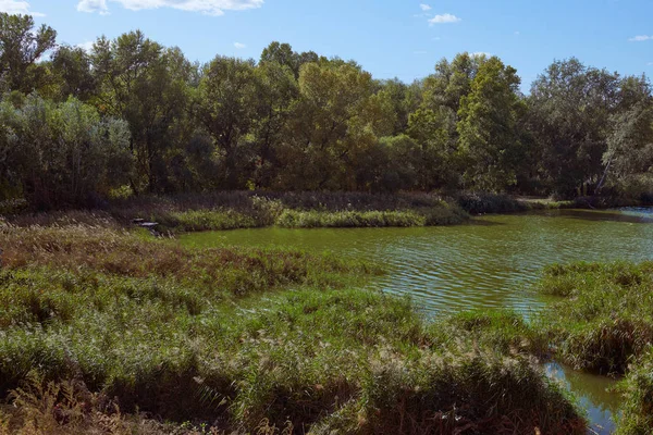 Lagoa Verde Com Pequenas Ondas Cercada Por Árvores Vegetação Diferente — Fotografia de Stock