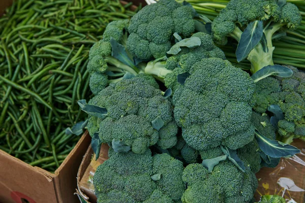 Όμορφα Φρέσκα Μπρόκολα Στην Αγορά Υγιή Πράσινα Λαχανικά Που Βρίσκονται — Φωτογραφία Αρχείου