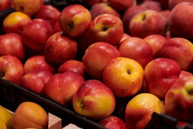 Bir sürü olgun nektarin. Marketteki lezzetli taze meyveler. Meyve hasadı.