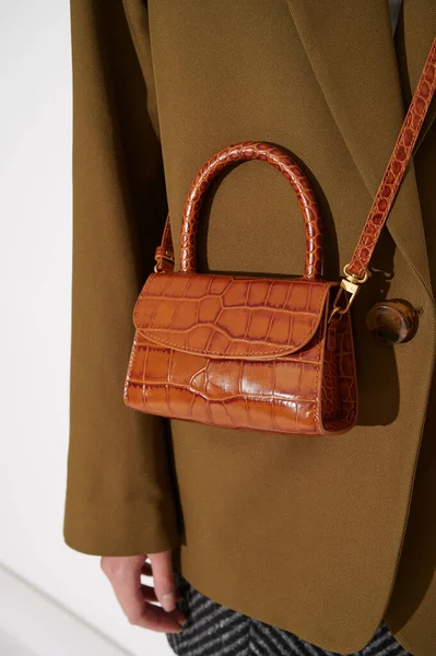 핸드백을 재킷을 손으로 가방에 파충류 효과가 현대적 액세서리야 전형적 — 스톡 사진