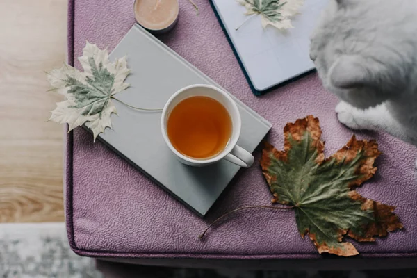 çay iç sonbahar yaprak, defter ve kedi, hygge kavramı ile bir kitapla  
