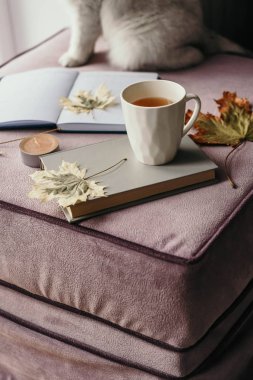 çay iç sonbahar yaprak, defter ve kedi, hygge kavramı ile bir kitapla  