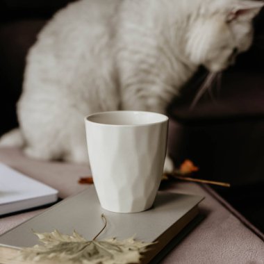 çay iç sonbahar yaprak, defter ve kedi, hygge kavramı ile bir kitapla  