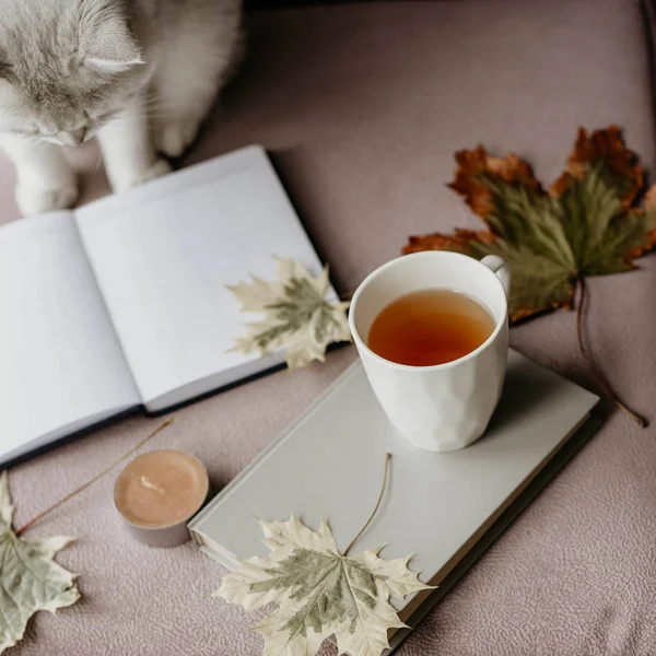 cup of tea with a book in the interior with autumn leaf, notebook and cat, hygge concept