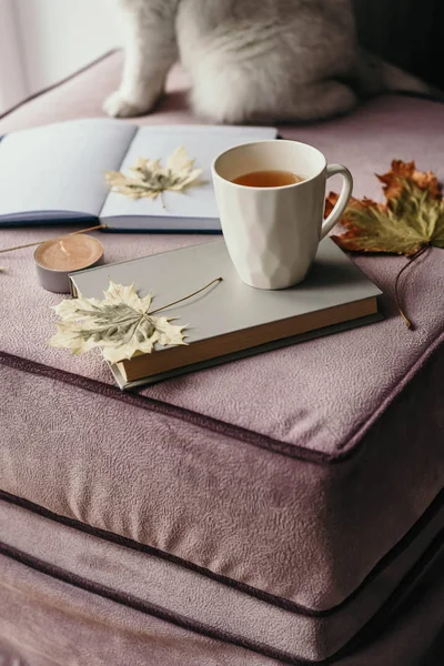 çay iç sonbahar yaprak, defter ve kedi, hygge kavramı ile bir kitapla  