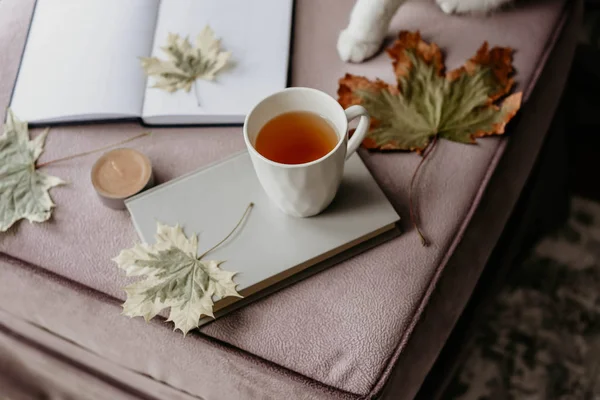cup of tea with a book in the interior with autumn leaf, notebook and cat, hygge concept