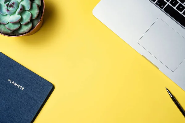 iş yerinde gümüş dizüstü secculent bitki ve mavi Organizatör sarı arka plan üzerinde flatlay