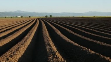 Bahar - ufuk tarım arazileri üzerinde çalışan satır Ekim yakınındaki kamera hamle alanında patates