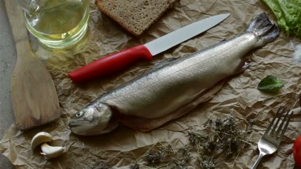 Świeże Ryby Przyprawy Składniki Gotowania Góry Dół Widok Powoli Slajdów — Wideo stockowe