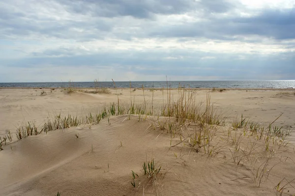 Dune Oro Del Mar Baltico Lettonia — Foto Stock