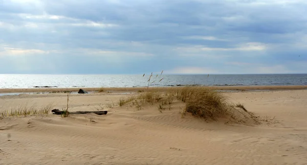 Dune Oro Del Mar Baltico Lettonia — Foto Stock