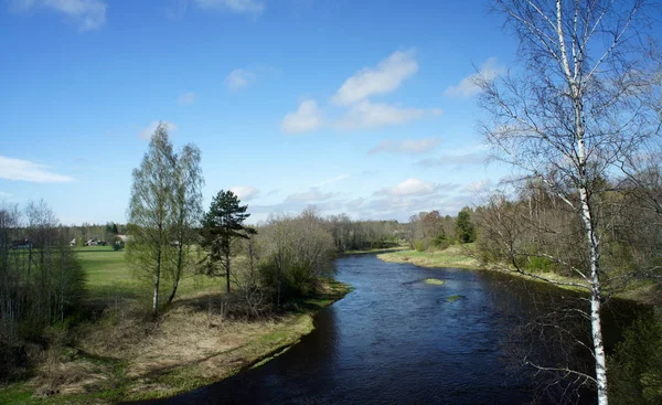 Spring Salaca Rzeka Środkowym Biegu Łotwa — Zdjęcie stockowe