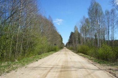 Spring.A toprak yol Letonca ormanda.