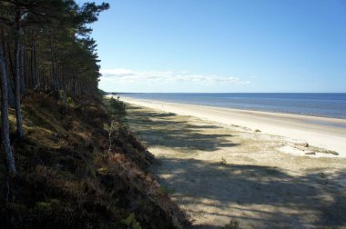 Baltık Denizi Latvia.Deserted vahşi plajlarına bahar.