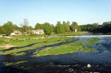 Latvia.The Venta nehirde Venta hızlı şelale çevresinde bahar.