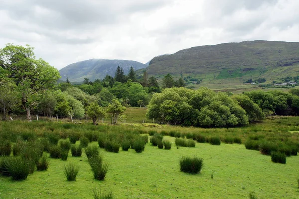Yeşil vadi Connemara dağlarında. Batı İrlanda.