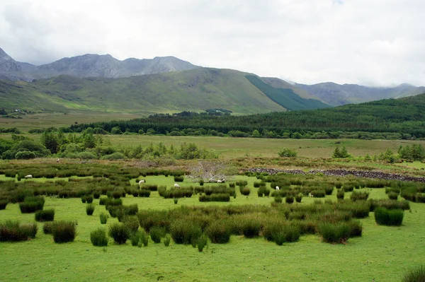 Batı İrlanda manzara.