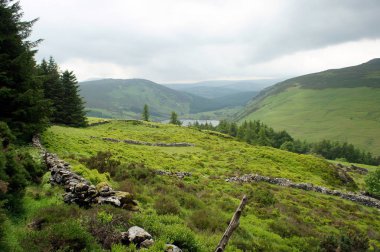 Wicklow Mountains.Ireland terk edilmiş mera.