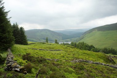 Wicklow Mountains.Ireland terk edilmiş mera.