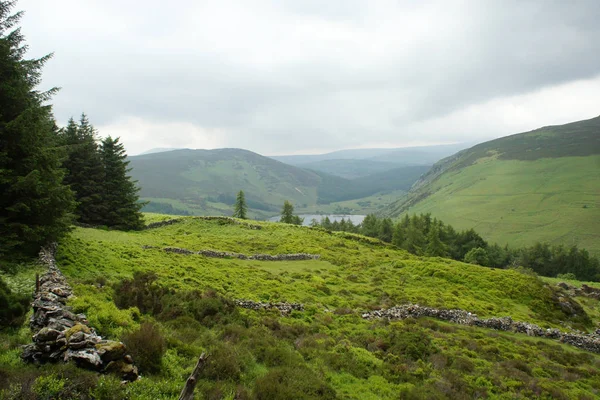 Pâturages Abandonnés Dans Les Monts Wicklow — Photo