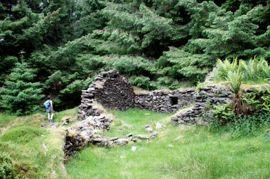 Eski köy kalıntıları orman tarafından emilir.