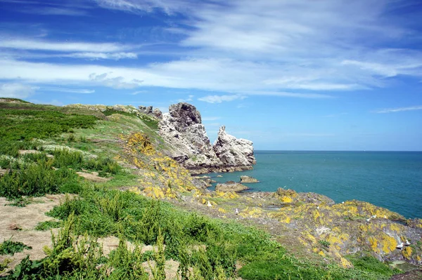 Landscapes of Ireland. The rocky coast of the island Irelands Eye.