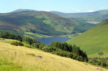 Wicklow Mountains.Ireland.Lake Dan yaz ortasında.