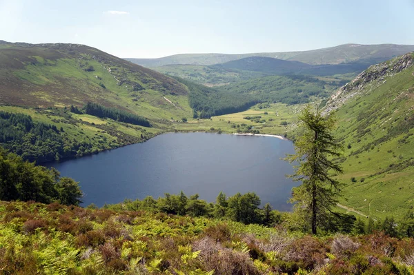 Sommaren Bergskedjan Wicklow Sjön Dan Ireland — Stockfoto