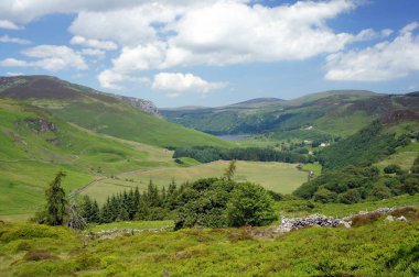 Wicklow Dağları'nda yaz aylarında. İrlanda.