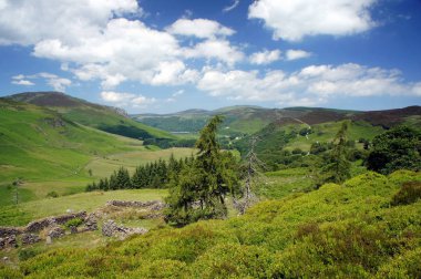 Bir dağ Vadisi eski bir köy kalıntıları. Wicklow Mountains.Ireland.