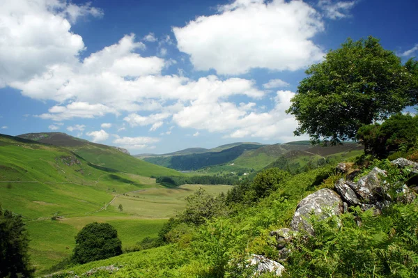 Yaz aylarında Wicklow Mountains.Ireland.