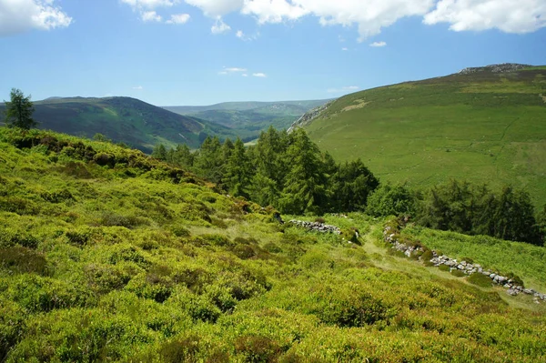 Yaz aylarında Wicklow Mountains.Ireland.