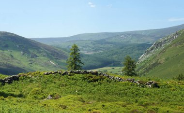 Yaz aylarında Wicklow Mountains.Ireland.