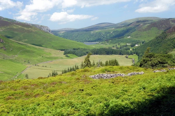 Yaz aylarında Wicklow Mountains.Ireland.