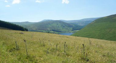 Yaz aylarında Wicklow Mountains.Ireland.