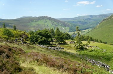 Ireland.Wicklow Mountains.The çoban terk edilmiş bir yerleşim kalır.