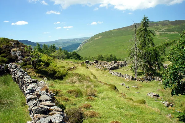 Wicklow Mountains.Ireland.The çoban terk edilmiş bir yerleşim kalır.