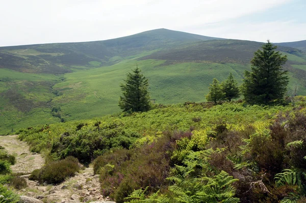 Paisagens Wicklow Mountain Ireland — Fotografia de Stock