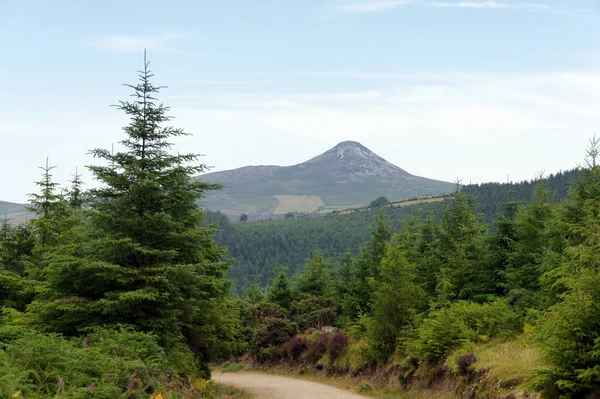 Manzara Ireland.Great Sugar Loaf Dağı.