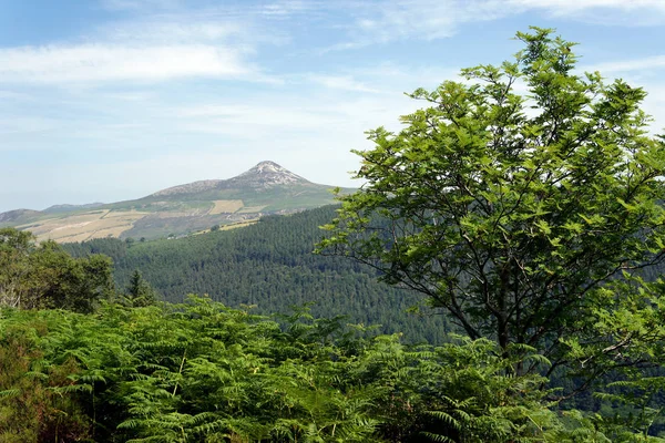 Landschaften Von Irland Great Zuckerhut Berg — Stockfoto