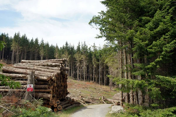 Tala Las Montañas Wicklow Irlanda —  Fotos de Stock